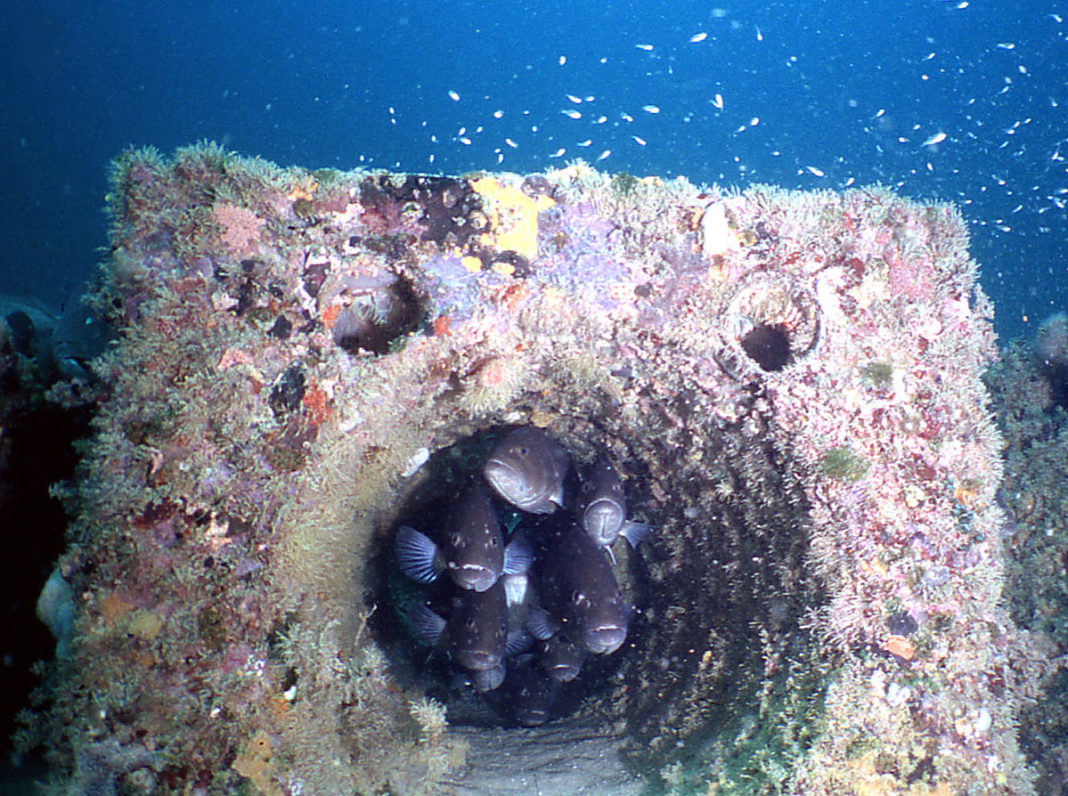erdek-yapay-resifler